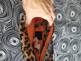 Bolso riñonera Zara estampado leopardo nuevo