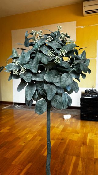 Planta decorativa dorada y verde