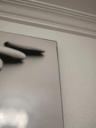 Cuadro Decorativo Piedras y Planta