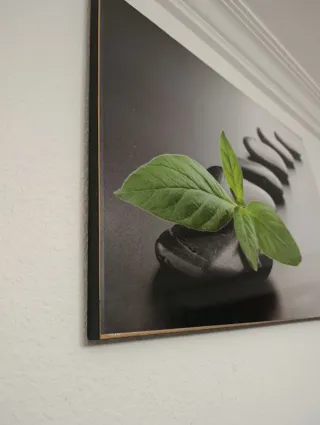 Cuadro Decorativo Piedras y Planta