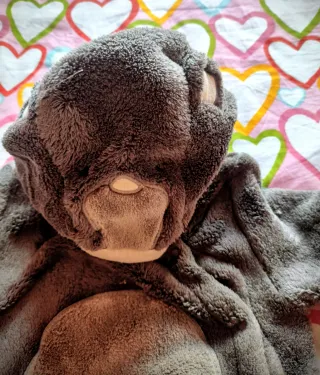 Disfraz infantil gorila.