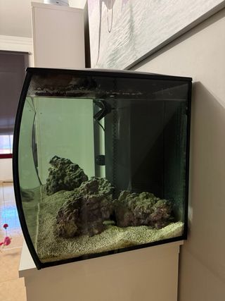 Acuario Marino Panorámico 110L pecera  FLUVALSMART