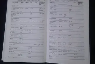 El libro del Mormón, otro testamento de Jesucristo