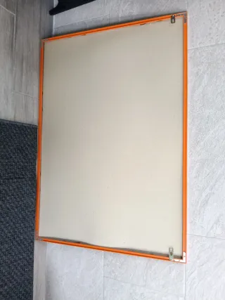 Cuadro Marco Aluminio Rana Árbol