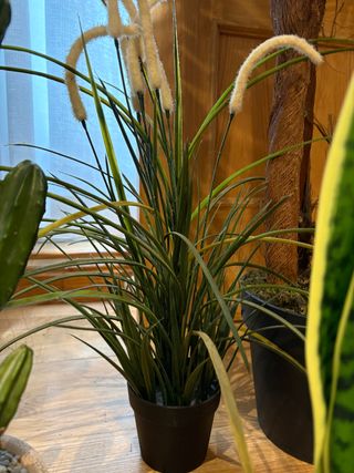 Plantas Artificiales Decorativas