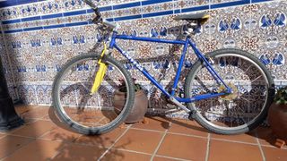 Bicicleta de montaña azul