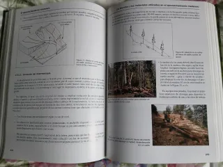 El Aprovechamiento Maderero