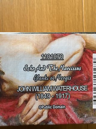 Puzzle 2000 Piezas El Jardín de Narciso