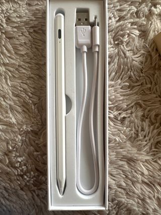 Lápiz Stylus para iPad Blanco + Cable