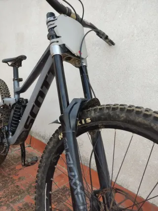 Scott Gambler DH 29