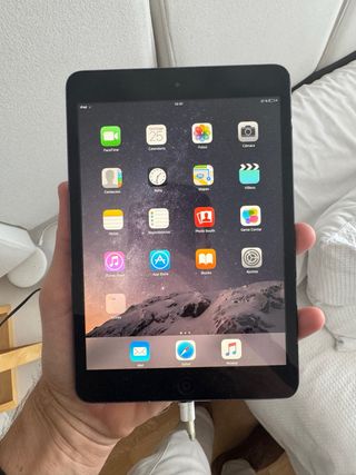 Apple iPad mini Negro