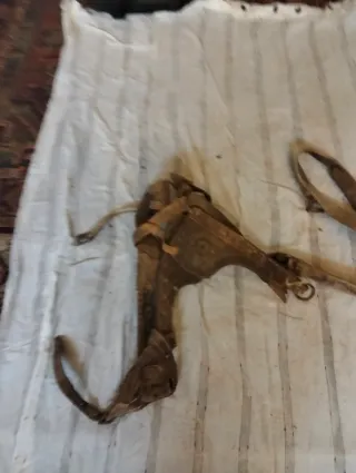 Arreos antiguos de cuero y cuerda