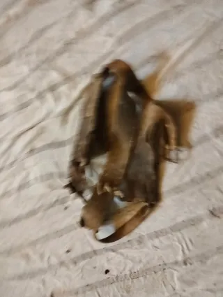 Arreos antiguos de cuero y cuerda