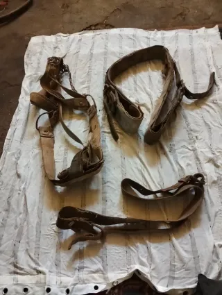 Arreos antiguos de cuero