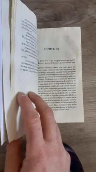 Hermanos de sangre (XIII) (Aventuras de Cato y ...