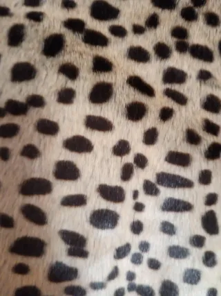 Abrigo estampado leopardo