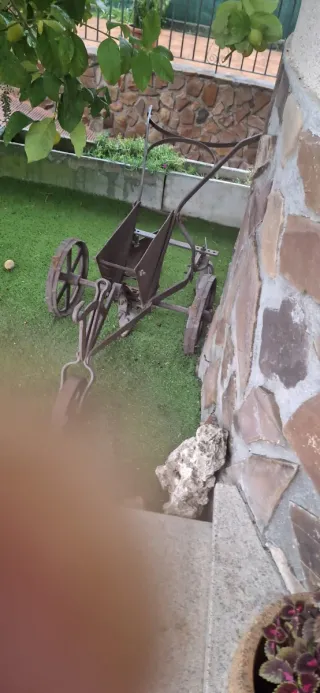 Figura tortuga antigua decorativa