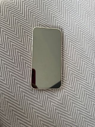 iPhone 13 Pro Max 256GB Plata