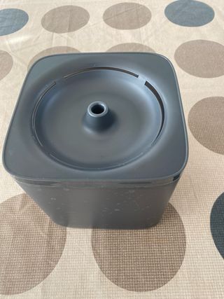 Fuente de agua para mascotas. Faltan filtros