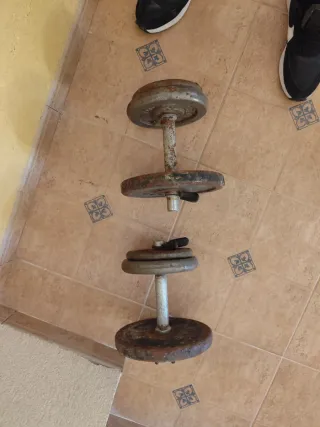 Mancuernas de 12 kg (par)