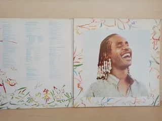 Antiguo vinilo doble Stevie Wonder,s