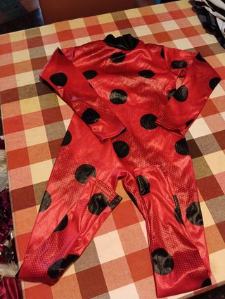 Disfraz Ladybug