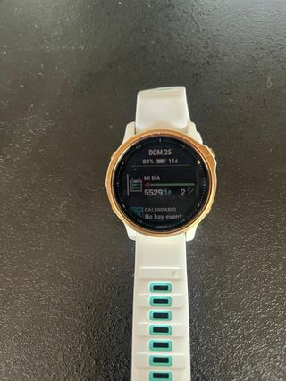 Garmin Fénix 6s Pro