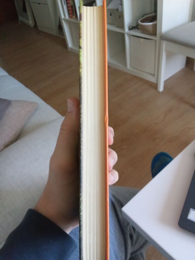 Botxan, Natsume Sôseki