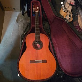 Guitarra Española Applause Amplificada + Funda