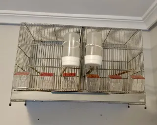 Conjunto Jaulas Cría y Concurso