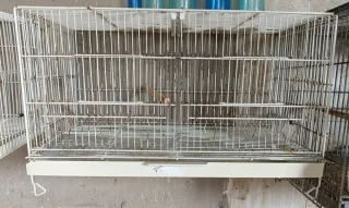 Conjunto Jaulas Cría y Concurso