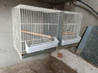 Conjunto Jaulas Cría y Concurso