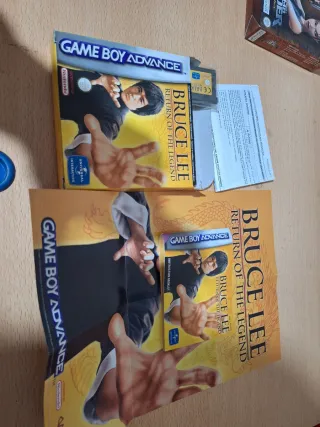 Bruce Lee game boy advance GBA