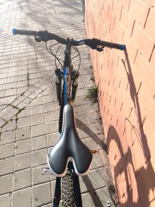 Bicicleta de Montaña