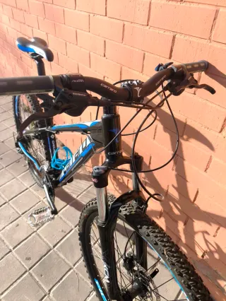 Bicicleta de Montaña