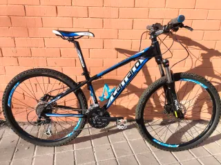 Bicicleta de Montaña