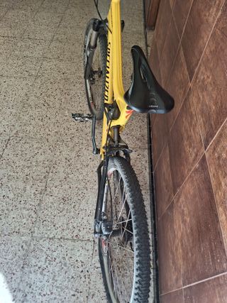 Bicicleta Specialized Amarilla Montaña