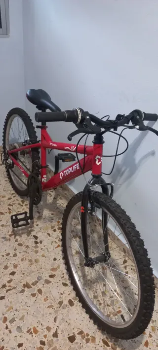 Bicicleta Mountain Bike 24 First Toplife Roja