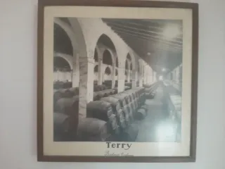Cuadro Terry Bodega