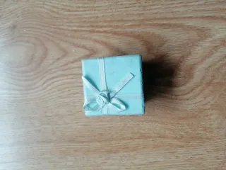 Pendientes Plata huellas de perro