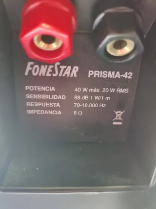 Altavoces Fonestar Negros (2 unidades).