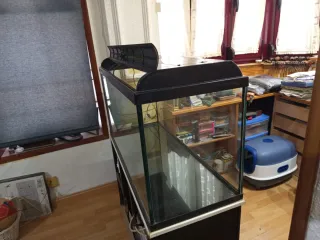 Acuario 200L