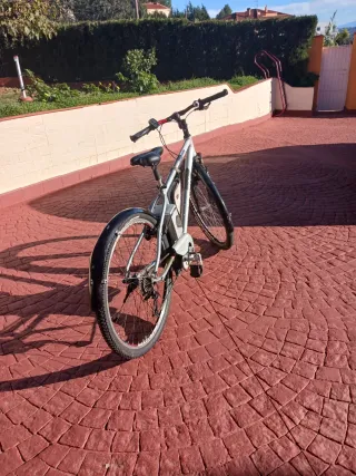 Bicicleta Eléctrica Kalkhoff Plata