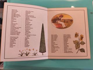 El Lenguaje De Las Flores