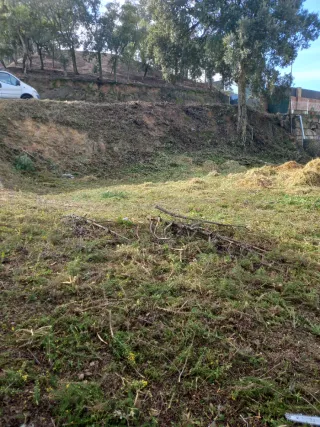 Limpieza de parcelas terrenos
