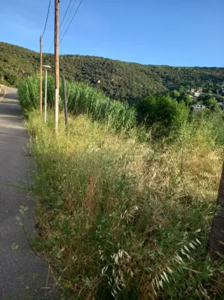 Limpieza de parcelas terrenos