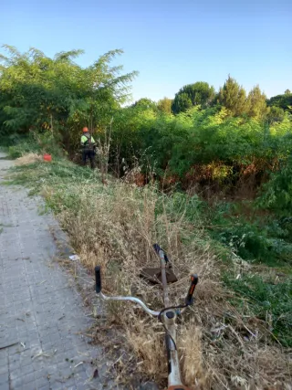 Limpieza de parcelas terrenos