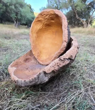 Cucharros de corcho rústicos