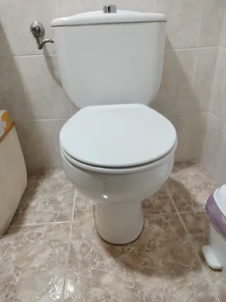 Inodoro / vater Roca Blanco