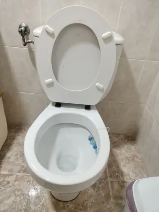 Inodoro / vater Roca Blanco